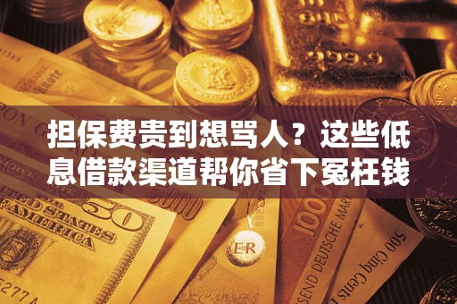 济南担保费贵到想骂人？这些低息借款渠道帮你省下冤枉钱