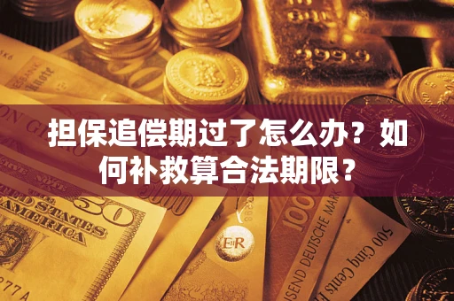济南担保追偿期过了怎么办？如何补救算合法期限？