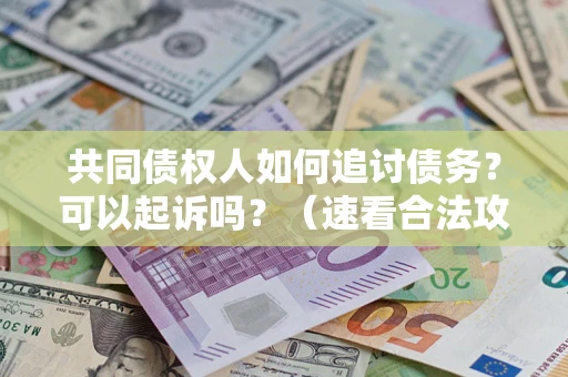 济南共同债权人如何追讨债务？可以起诉吗？（速看合法攻略）
